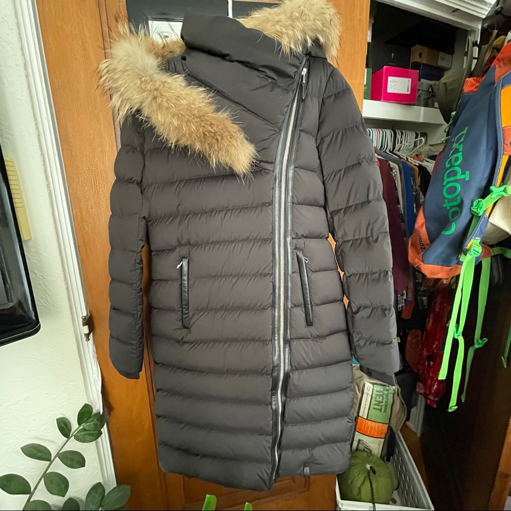 NWT Rudsak Melodic Coat